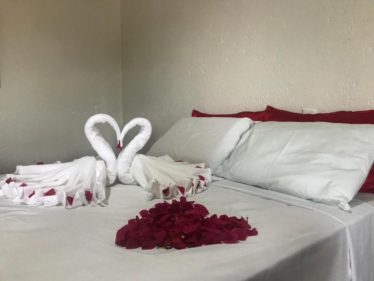 Leao Beach Pousada 路易斯科雷亚 外观 照片
